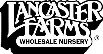 Lancaster Farms Wholesale Nursery